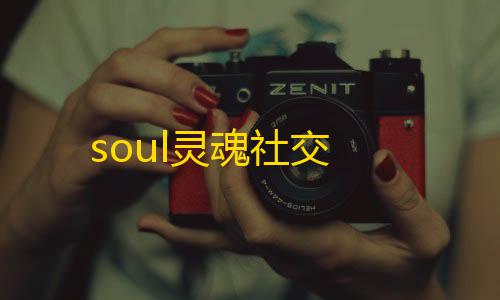 低价卡盟全网低价soul灵魂社交